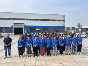 公司团队